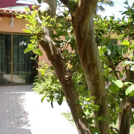 Finca La Gaviota - El Mango Icod De Los Vinos