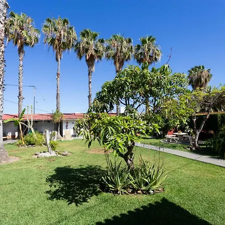 Finca La Gaviota - El Mango Casa vacanze Icod De Los Vinos