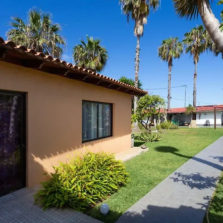 Finca La Gaviota - El Mango Casa vacanze Icod De Los Vinos